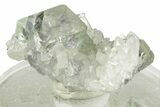 Pyrite Dusted Cubic Fluorite Crystals on Quartz - China #258431-1